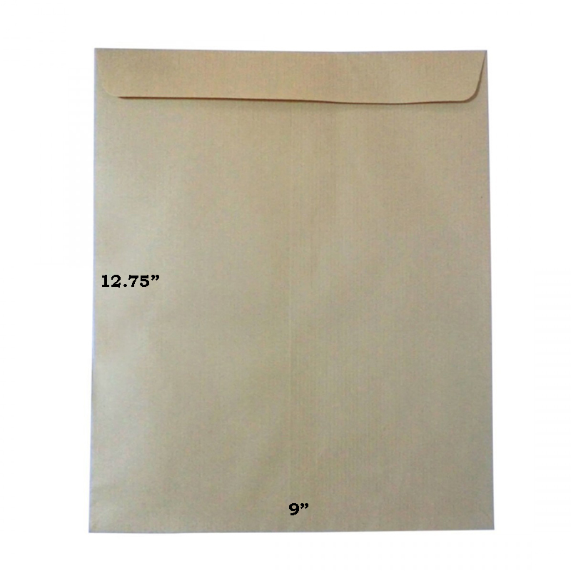 Brown Envelope 9\" x 12.75\"
